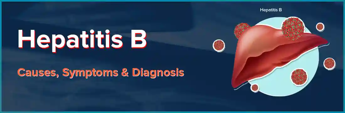  Hepatitis B: Causes, Symptoms and Diagnosis